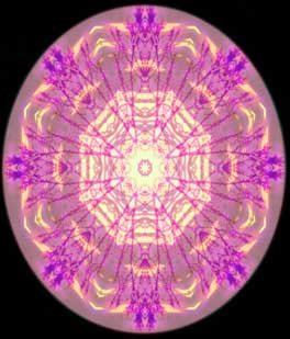 EnergyLamp